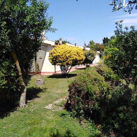Agriturismo Le Colline Di Капалбио Екстериор снимка