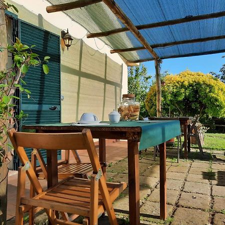 Agriturismo Le Colline Di Капалбио Екстериор снимка