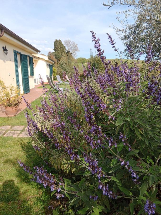 Agriturismo Le Colline Di Капалбио Екстериор снимка