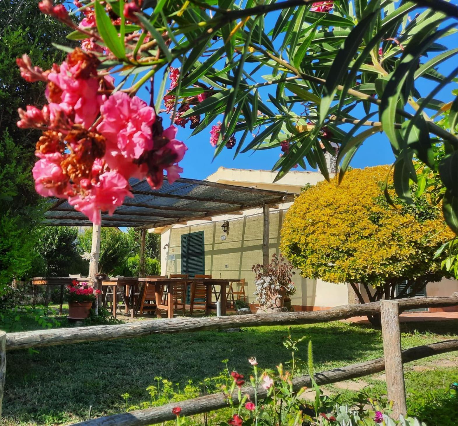 Agriturismo Le Colline Di Капалбио Екстериор снимка