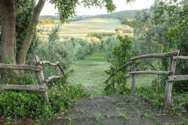 Agriturismo Le Colline Di Капалбио Екстериор снимка