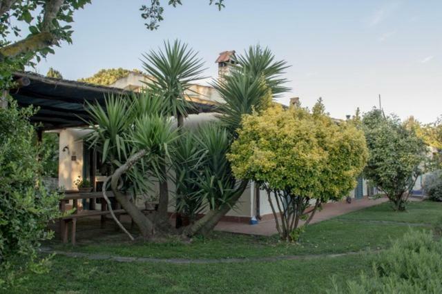 Agriturismo Le Colline Di Капалбио Екстериор снимка