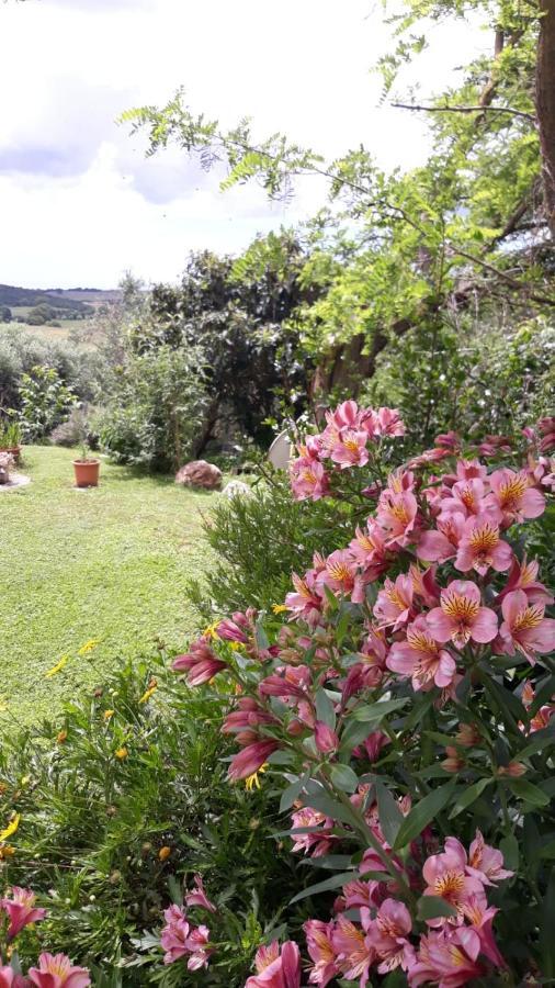 Agriturismo Le Colline Di Капалбио Екстериор снимка