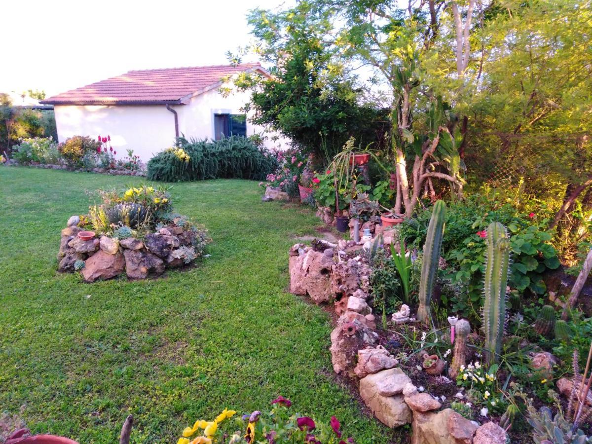 Agriturismo Le Colline Di Капалбио Екстериор снимка